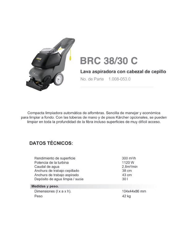 Lava aspiradora con cabezal de cepillo 